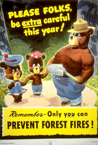 Only YOU can prevent forest fires - Smokey Bear