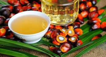 Get the Facts: A Smart Mom's Guide to Palm Oil