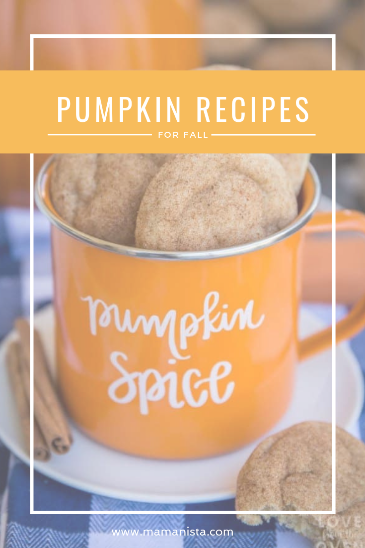 Whether or not you’re a fan of the PSL, you’ll love these pumpkin recipes for fall - from donuts to muffins, we’ve got you covered!