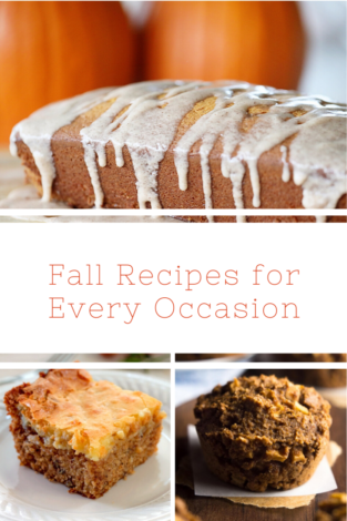 One of the best parts of this time of year is the food and fall flavors. Check out these fall recipes for every occasion.